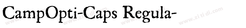 CampOpti-Caps Regula字体转换
